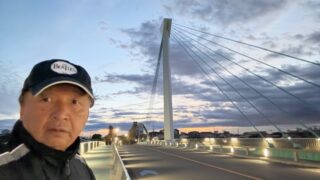 つぼみが開いて