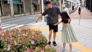 初夏を盛り上げる
