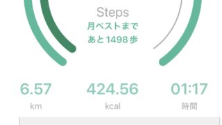 朝も夜もウオーキング