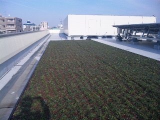 120118_134837_ed.jpg