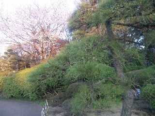 120405_173420_ed.jpg