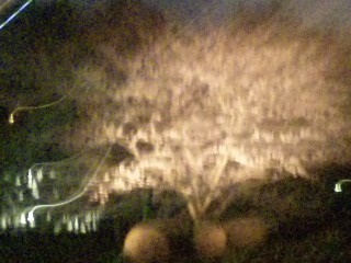 120405_195541_ed.jpg