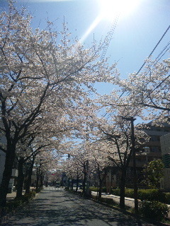 120407_095741.jpg