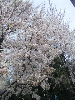 120410_110420.jpg