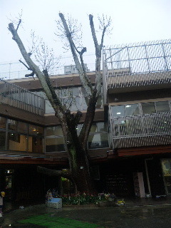 120423_154758.jpg