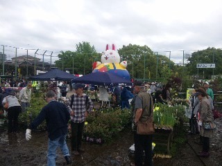 120504_110344_ed.jpg