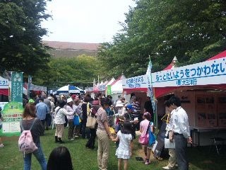 120602_114305_ed.jpg
