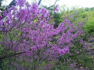 120606_115416_ed.jpg