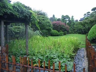120923_121832_ed.jpg