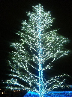091202_215754.jpg