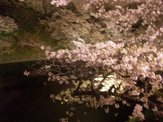 130331_191908_ed.jpg