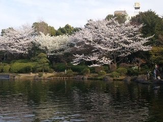 130328_160218_ed.jpg