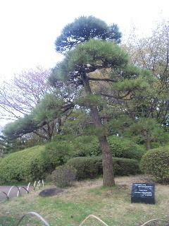 130404_174212.jpg