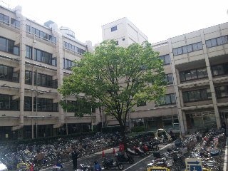 130510_133833_ed.jpg