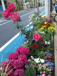 130525_174023.jpg