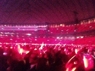 131121_214730_ed.jpg