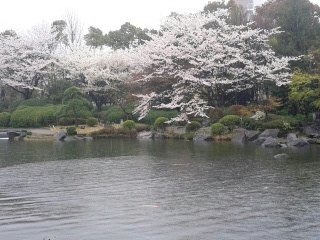 140403_112645_ed.jpg