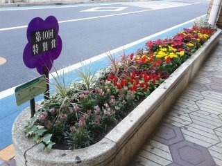 140524_160945_ed.jpg