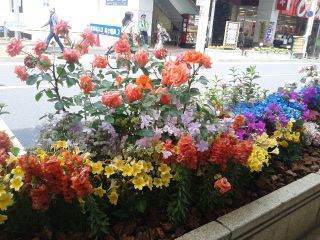 150523_101806_ed.jpg