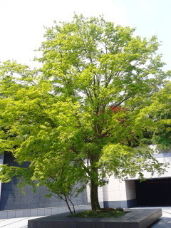 150528_102607.jpg