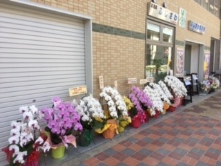 image3.JPG