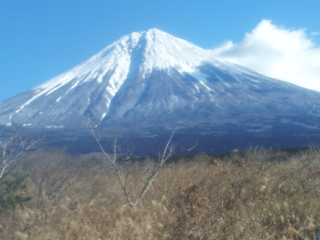 年の初めに。。。。