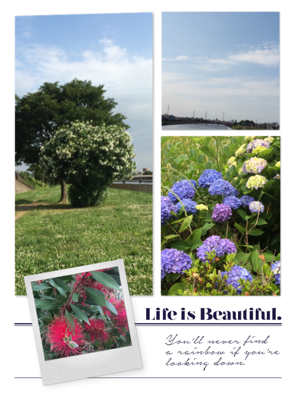 あれから・・・