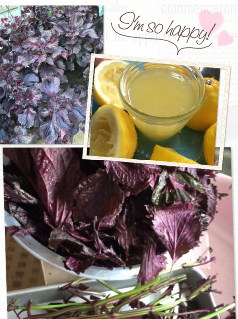 真っ赤に燃えた~☆