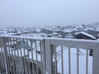 寒いですが・・元気です!