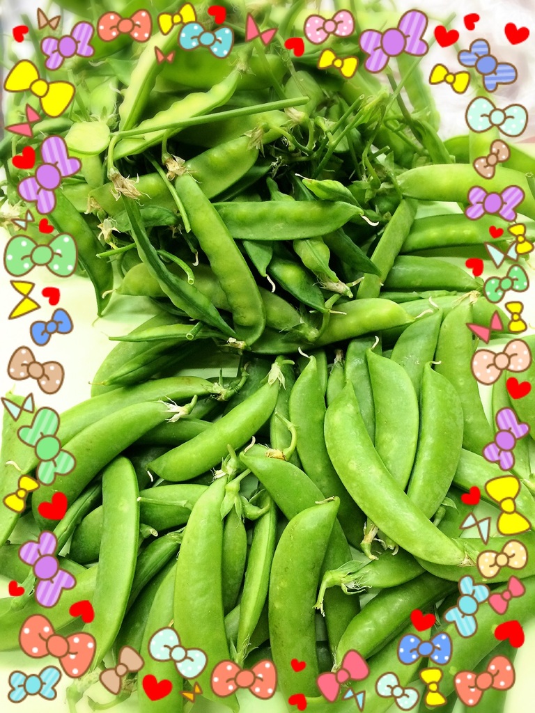 グリーン・デイ