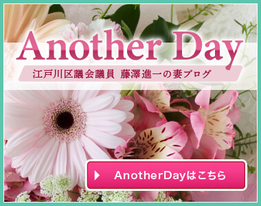 AnotherDay リニューアルしました